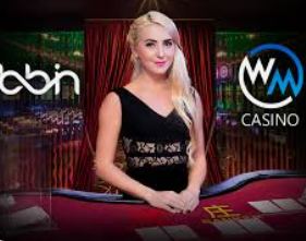 星空全站正式版